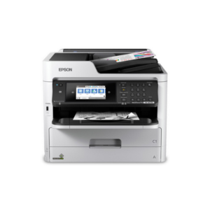 Epson WF-C5290